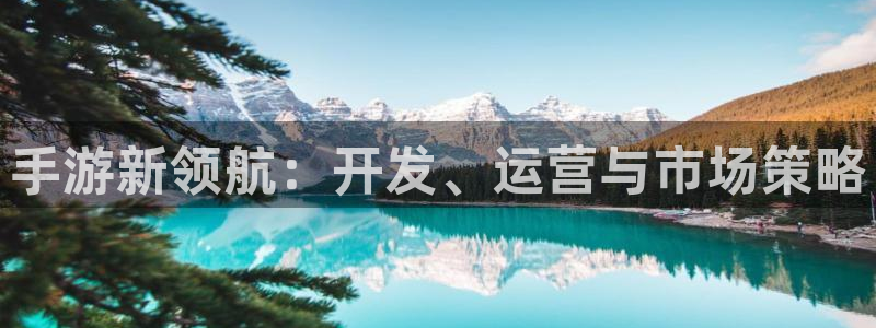 万赢娱乐网址多少：手游新领航：开发、运营与市场策略