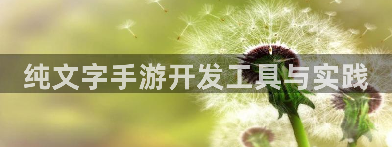 万赢娱乐电子游戏官网游戏特色：纯文字手游开发工具与实践