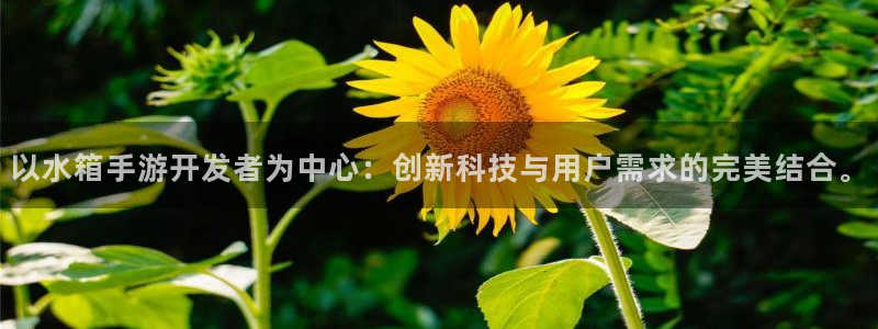 万赢娱乐大转盘：以水箱手游开发者为中心：创新科技与用户需求的