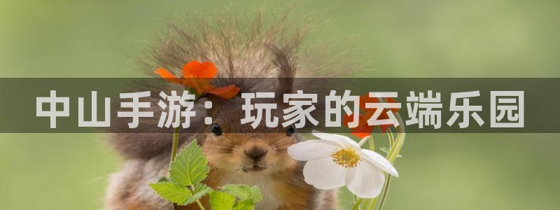 万赢娱乐体育：中山手游：玩家的云端乐园