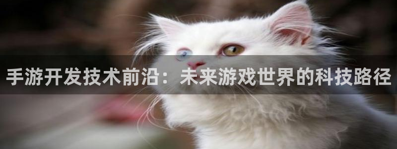 万赢娱乐积分商城：手游开发技术前沿：未来游戏世界的科技路径