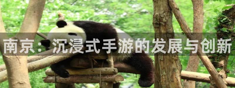 万赢娱乐wy：南京：沉浸式手游的发展与创新