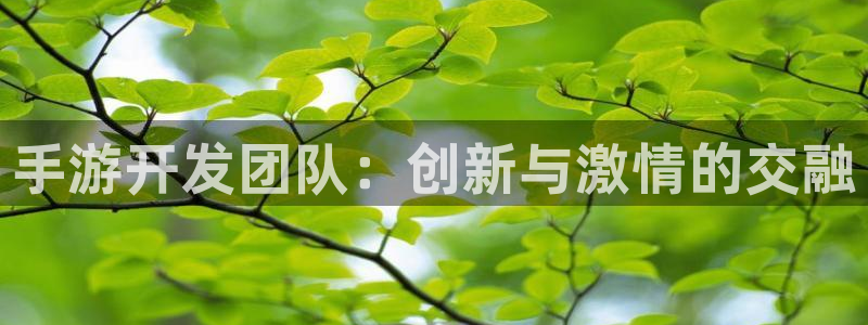 万赢娱乐棋牌官方最新版：手游开发团队：创新与激情的交融