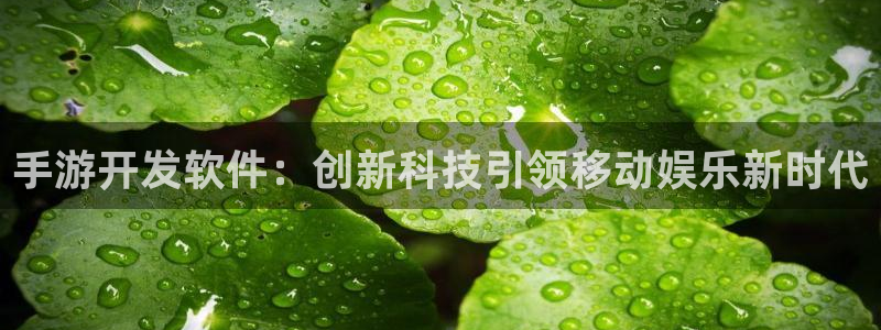 万赢娱乐棋牌：手游开发软件：创新科技引领移动娱乐新时代