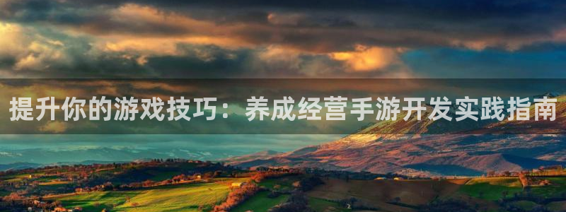 万赢娱乐旧版网站：提升你的游戏技巧：养成经营手游开发实践指南