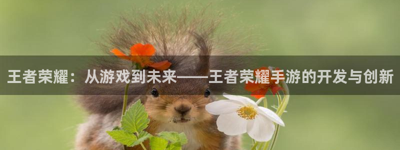 万赢娱乐最新通道：王者荣耀：从游戏到未来——王者荣耀手游的开