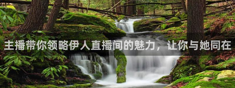 178看球在线免费直播：主播带你领略伊人直播间的魅力，让你与她同在