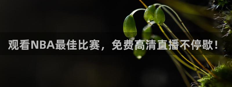 178体育直播下载官网：观看NBA最佳比赛，免费高清直播不停歇！