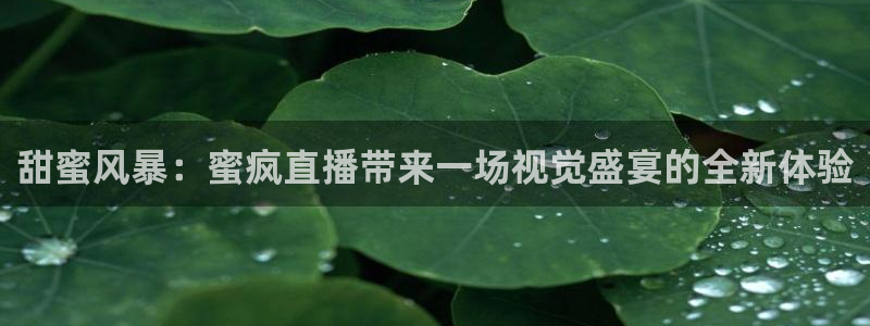 178足球免费直播今日：甜蜜风暴：蜜疯直播带来一场视觉盛宴的全新体验