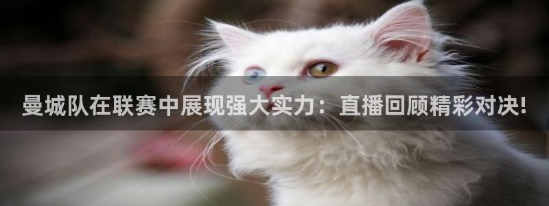 178视频体育直播：曼城队在联赛中展现强大实力：直播回顾精彩对决!