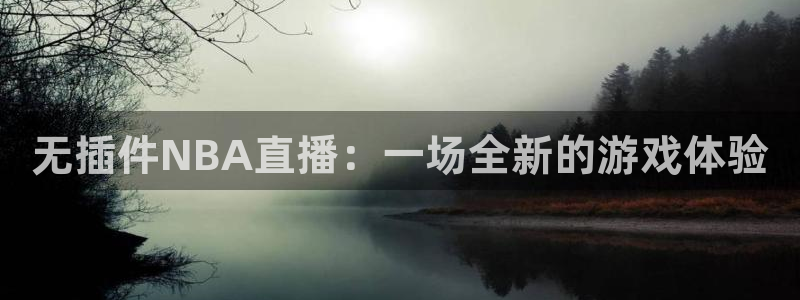 178体育nba在线直播：无插件NBA直播：一场全新的游戏体验
