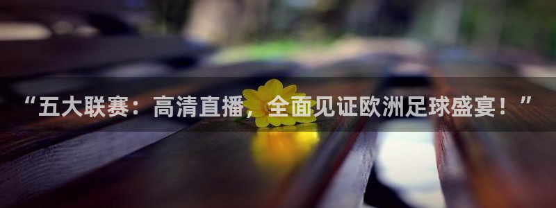178直播比赛在线观看龙门：“五大联赛：高清直播，全面见证欧洲足球盛宴！”