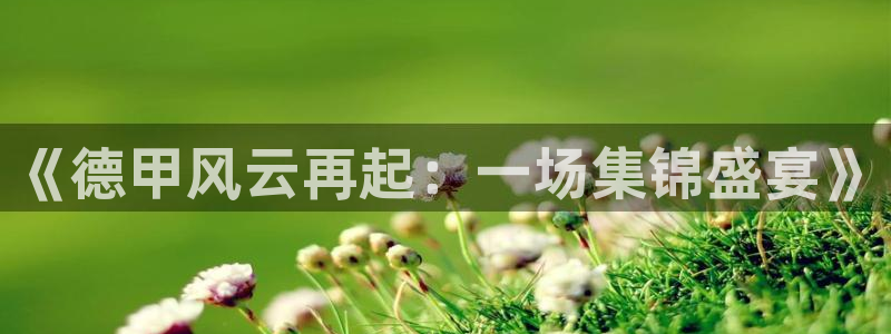 178视频体育直播：《德甲风云再起：一场集锦盛宴》