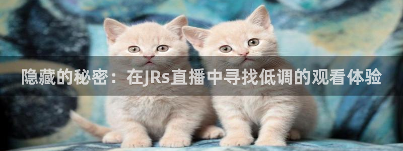 178直播nba免费观看：隐藏的秘密：在JRs直播中寻找低调的观看体验