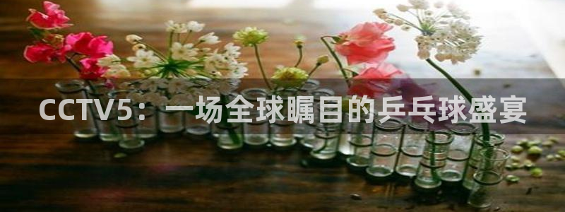 篮球178直播在线直播观看免费：CCTV5：一场全球瞩目的乒乓球盛宴