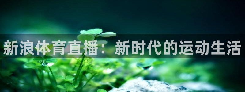 178体育直播免费观看入口：新浪体育直播：新时代的运动生活