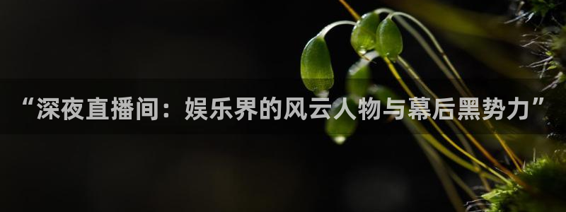 免费足球直播178直播：“深夜直播间：娱乐界的风云人物与幕后黑势力”