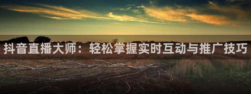 nba赛事直播178：抖音直播大师：轻松掌握实时互动与推广技巧