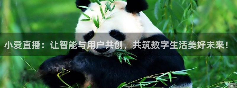nba视频直播178：小爱直播：让智能与用户共创，共筑数字生活美好未来！